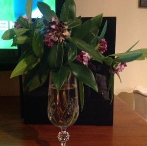 Meet your Posher, Trish